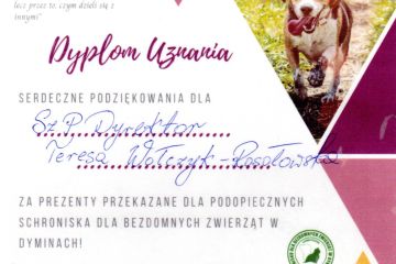 Dyplom Uznania !