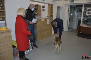 Przekazanie  karmy na rzecz SCHRONISKA DLA ZWIERZĄT W DYMINACH przez Prezydenta Miasta Kielce  i Domu Kultury Zameczek