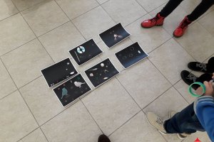 FOTO - KREATYWNI pod kierunkiem Marcina Michalskiego