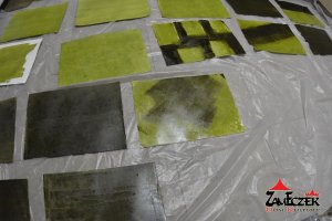 Fotografia Plenerowa i warsztaty z Gumografii