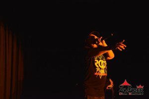Artystyczne Wieczory z Zameczkiem - Koncert Kasi Stanek i MarleJah'a